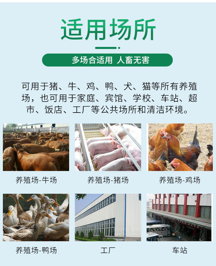 杀虫饵粒（绝影）3